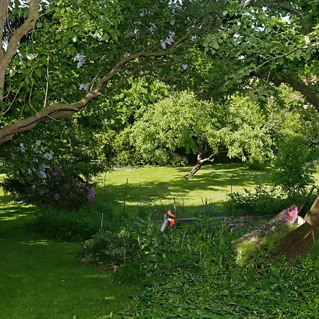 Casa de Férias House Annerose