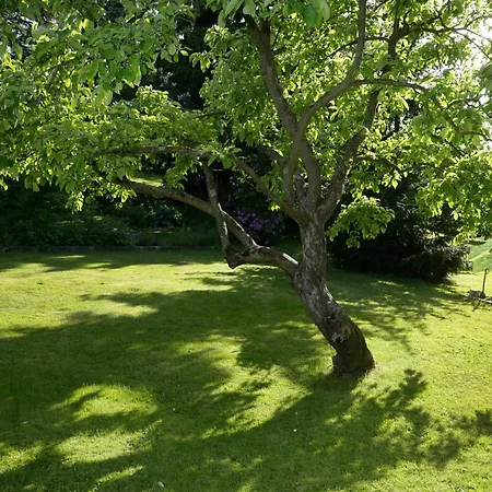Haus Annerose - Offene Tueren Fuer Offene Herzen * Finneck