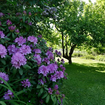 Haus Annerose - Offene Tueren Fuer Offene Herzen *