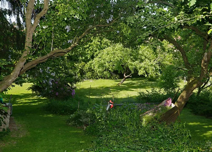 Ferienhaus House Annerose