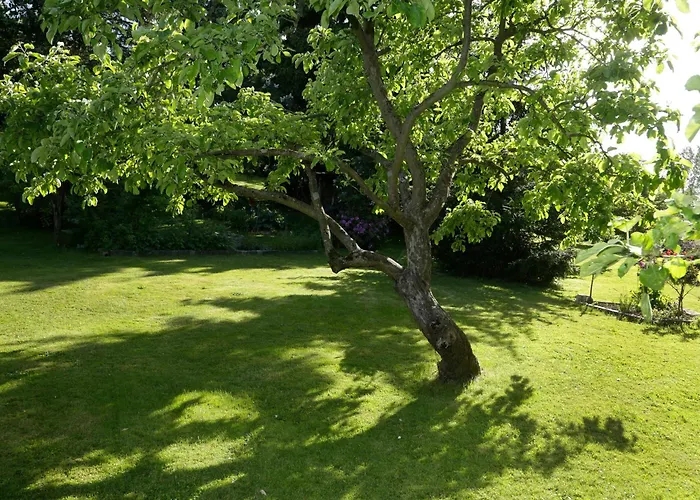 House Annerose * Finneck